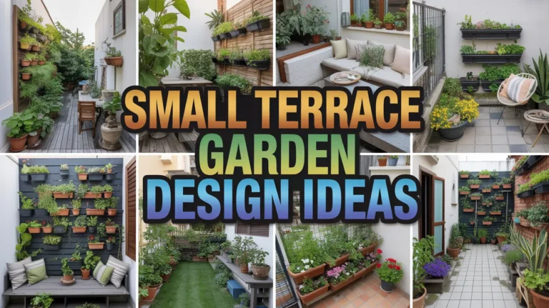 small terrace garden design ideas